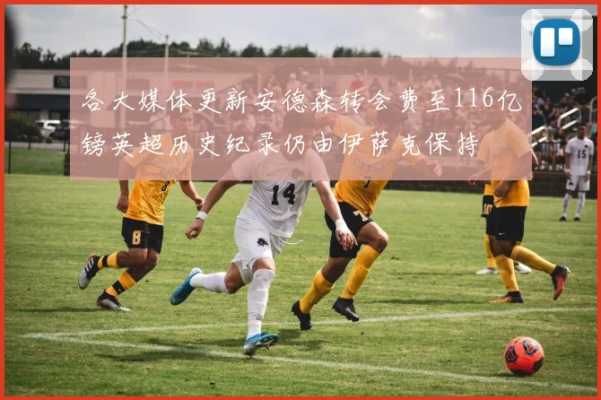 各大媒体更新安德森转会费至116亿镑英超历史纪录仍由伊萨克保持