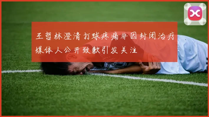 王哲林澄清打球疼痛非因封闭治疗媒体人公开致歉引发关注